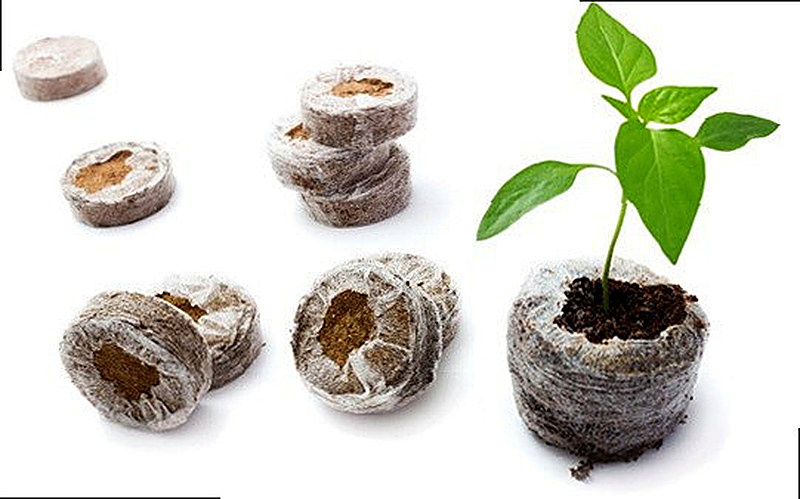 Торфяные таблетки для рассады применение