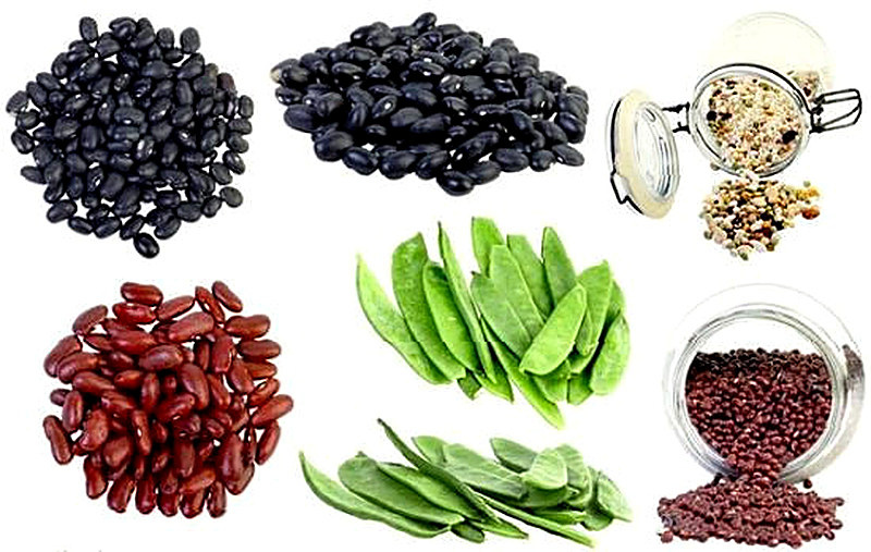 Бобовые растения