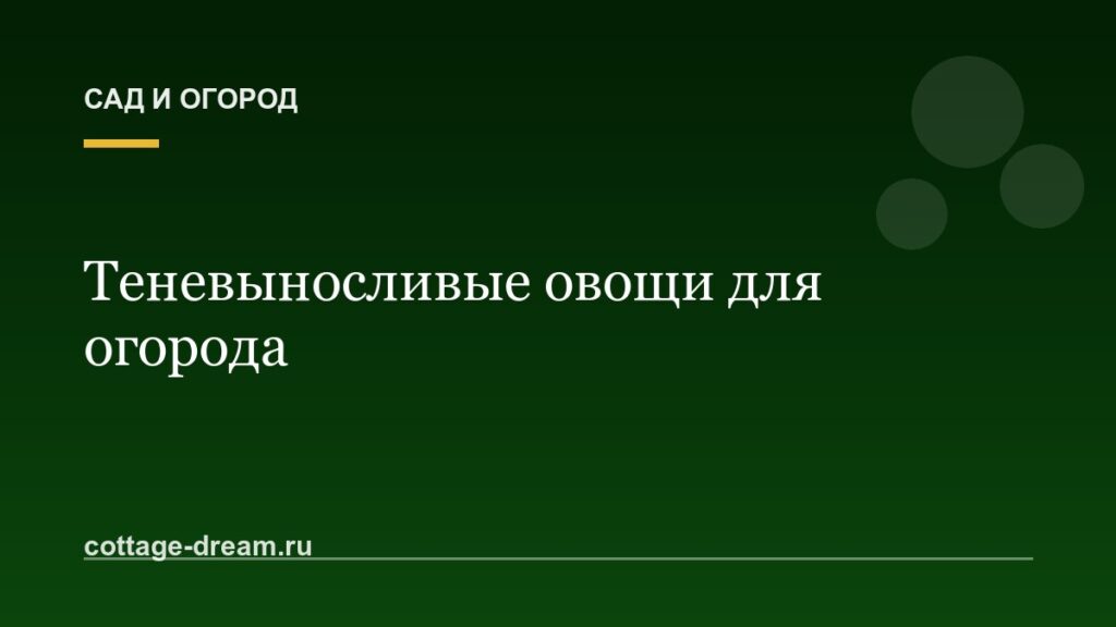 Теневыносливые овощи для огорода