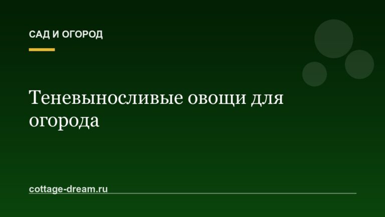 Теневыносливые овощи для огорода