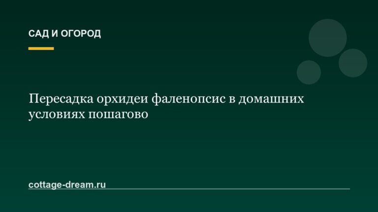 Пересадка орхидеи фаленопсис в домашних условиях пошагово