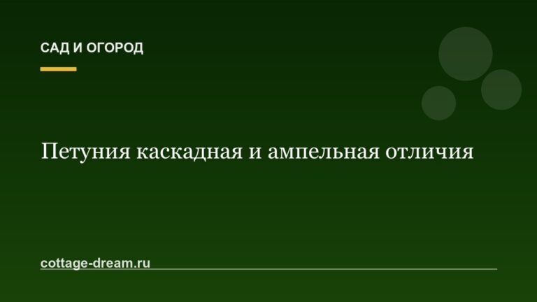 Петуния каскадная и ампельная отличия