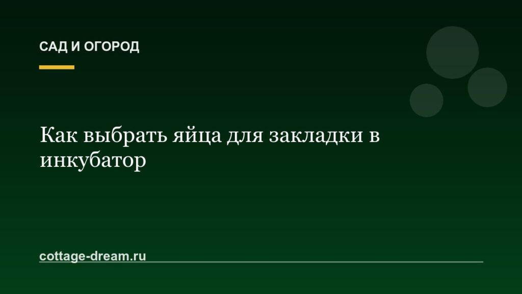Как выбрать яйца для закладки в инкубатор