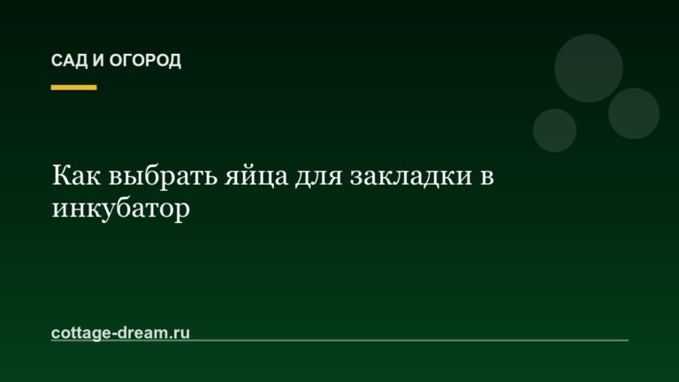 Как выбрать яйца для закладки в инкубатор