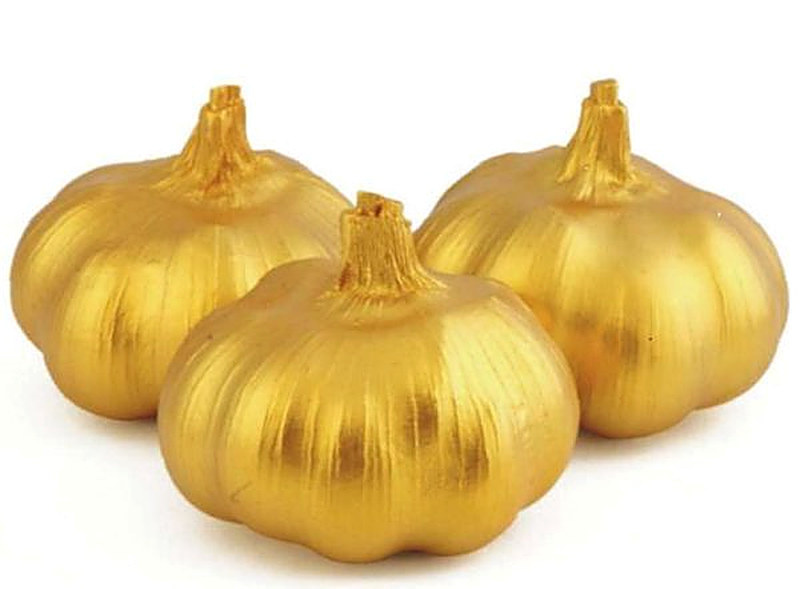 Чесночный бизнес в России