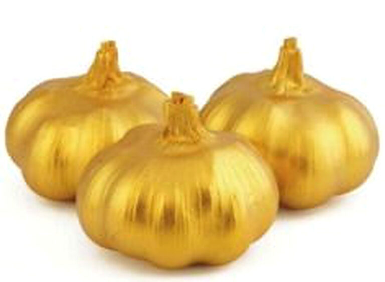 Чесночный бизнес в России отзывы