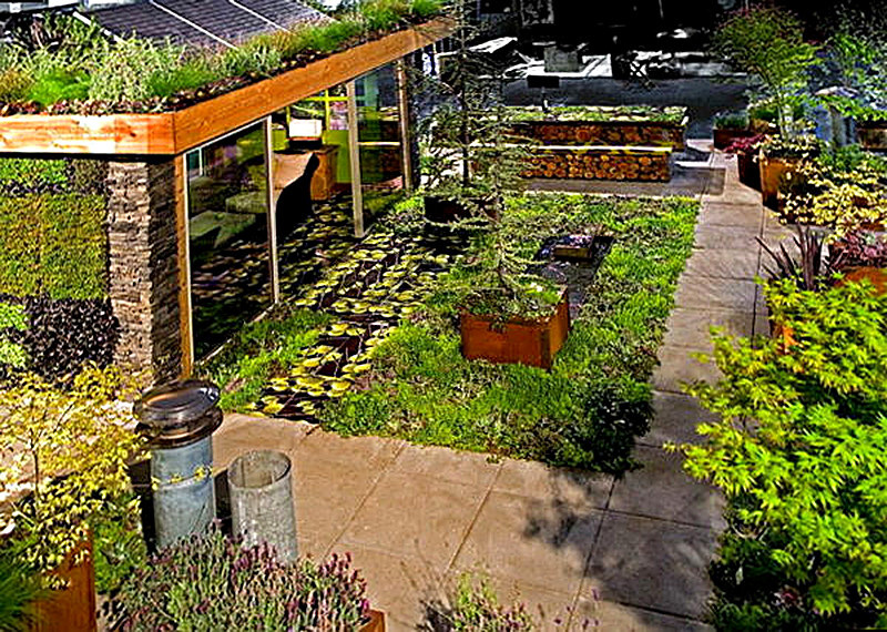 Делаем сад на крыше