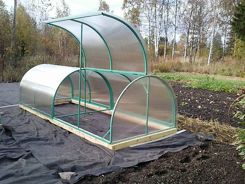 Распродажа теплиц в спб от производителя