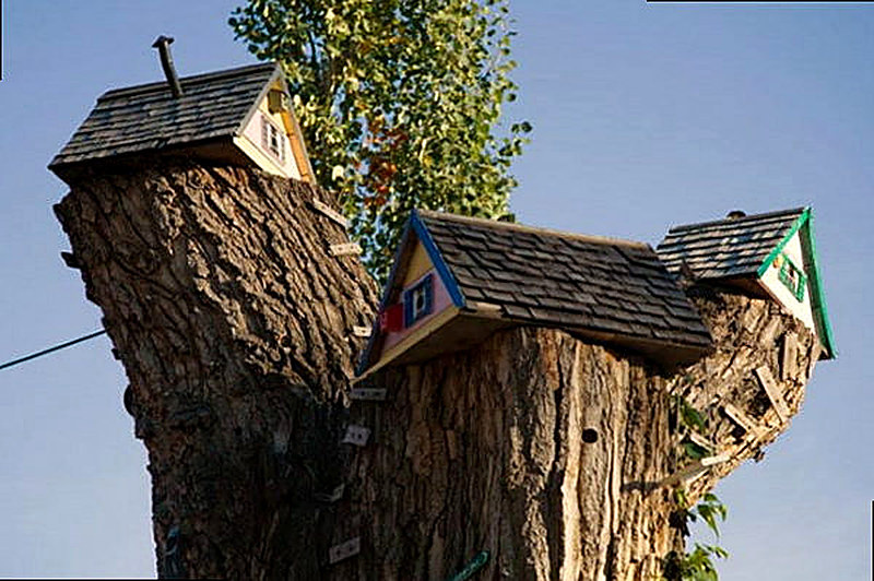 Создаём скворечники на даче