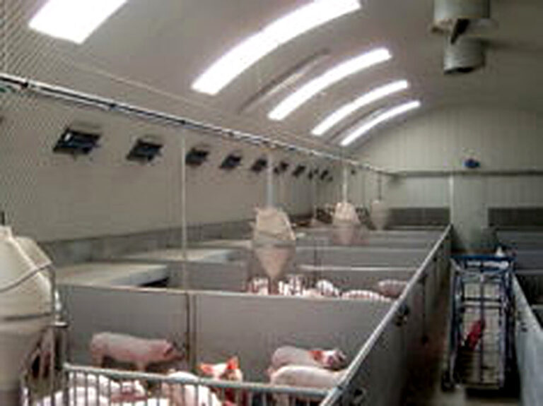 Строительство бескаркасных свинарников