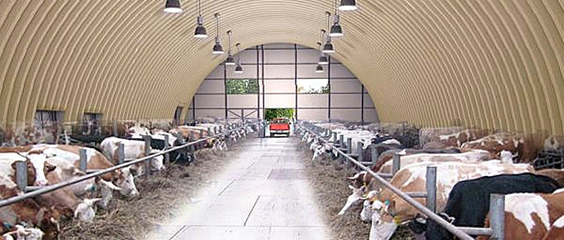 Цена на бескаркасные ангары для сельского хозяйства