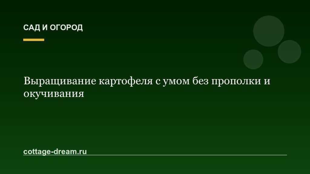 Выращивание картофеля с умом без прополки и окучивания