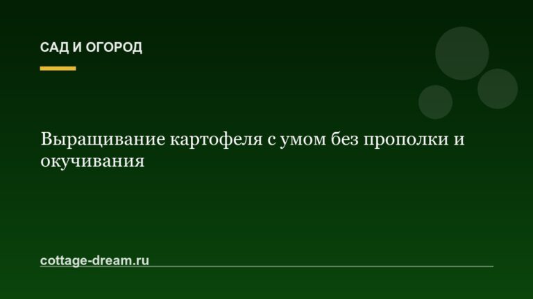 Выращивание картофеля с умом без прополки и окучивания