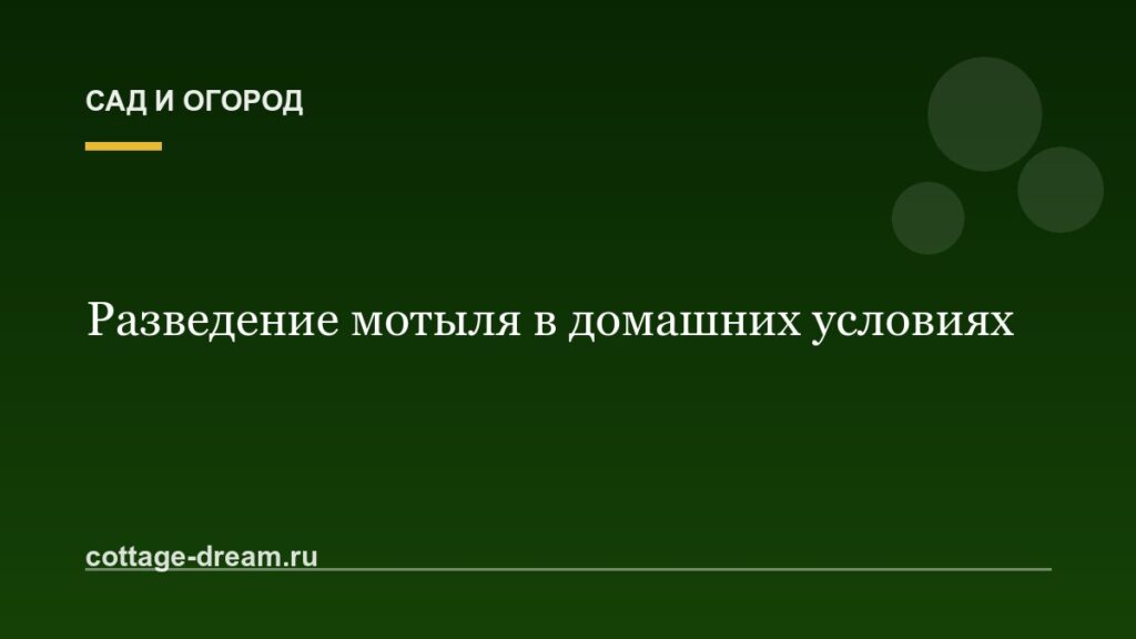 Разведение мотыля в домашних условиях