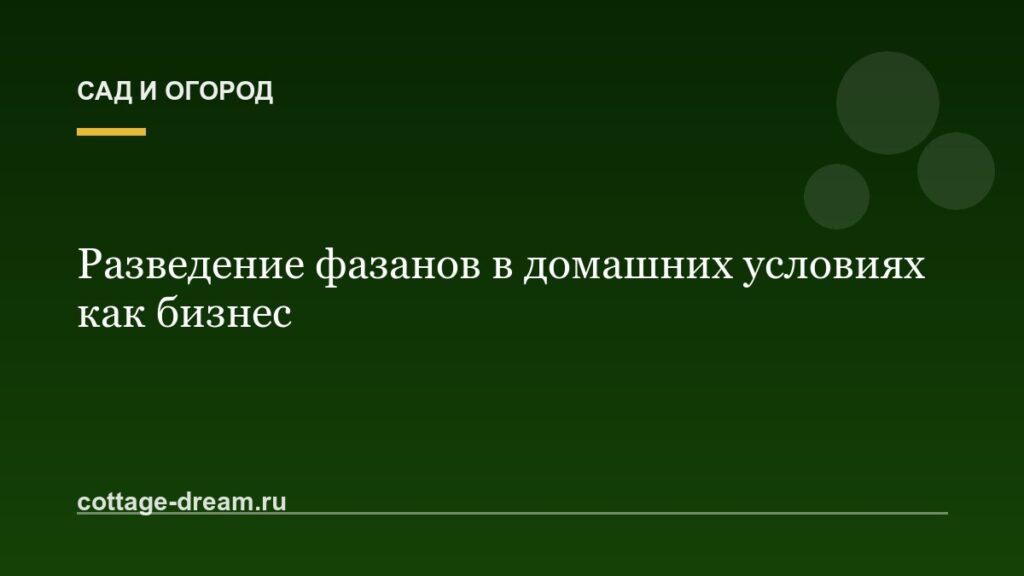Разведение фазанов в домашних условиях как бизнес