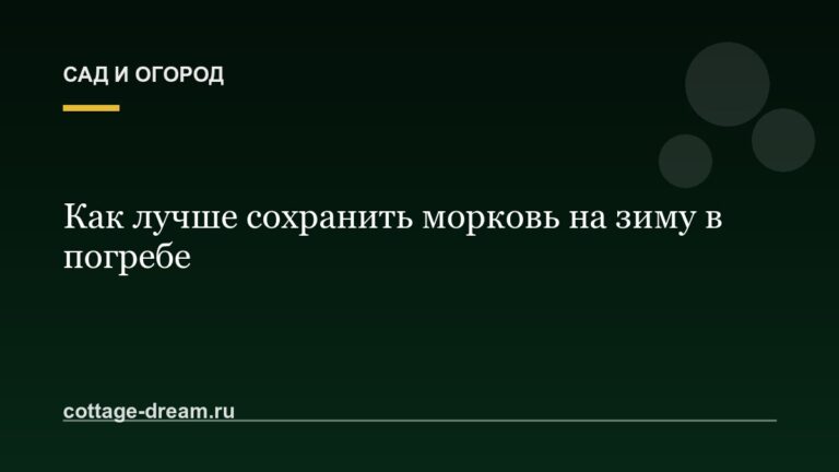Как лучше сохранить морковь на зиму в погребе