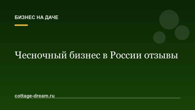 Чесночный бизнес в России отзывы