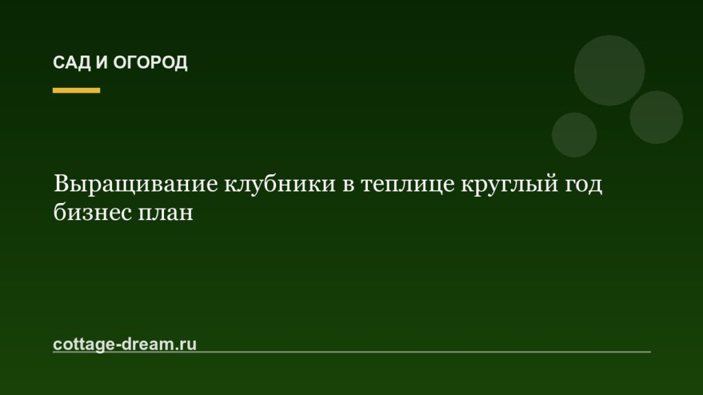 Выращивание клубники в теплице круглый год бизнес план