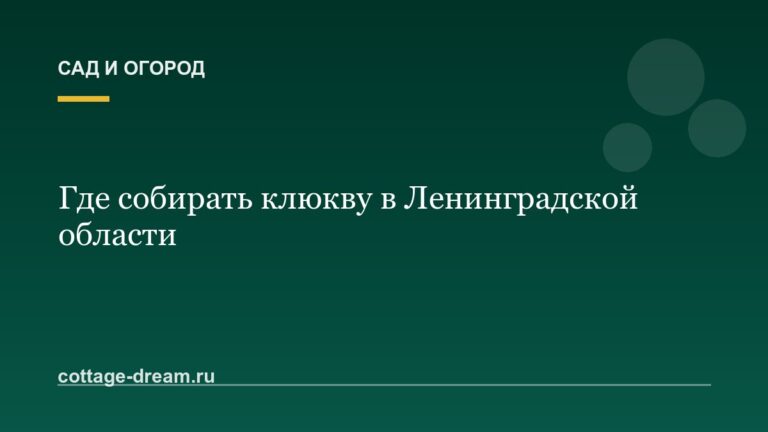 Где собирать клюкву в Ленинградской области