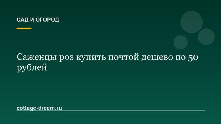 Саженцы роз купить почтой дешево по 50 рублей