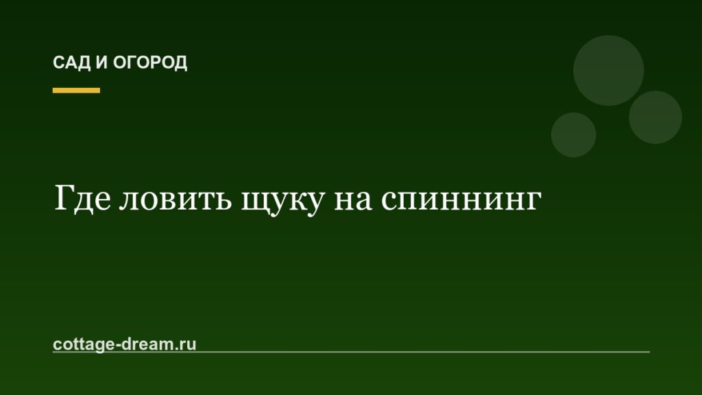 Где ловить щуку на спиннинг