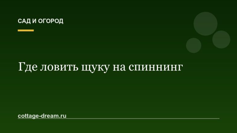 Где ловить щуку на спиннинг