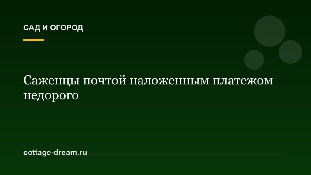 Саженцы почтой наложенным платежом недорого