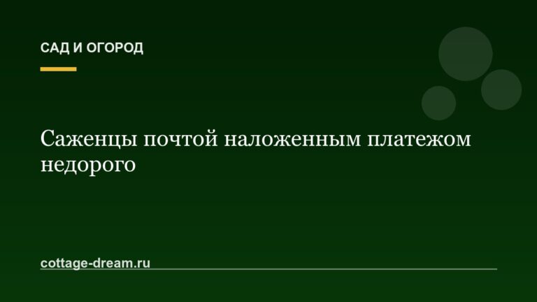 Саженцы почтой наложенным платежом недорого