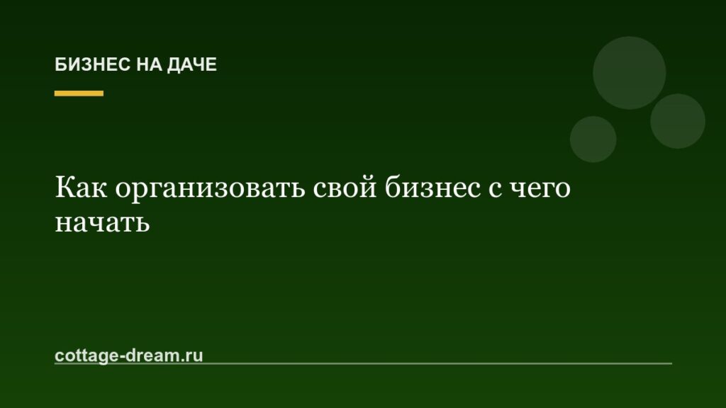 Как организовать свой бизнес с чего начать