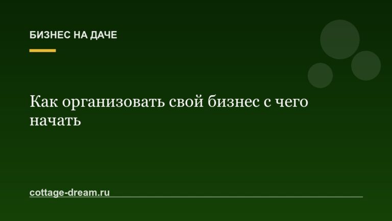 Как организовать свой бизнес с чего начать
