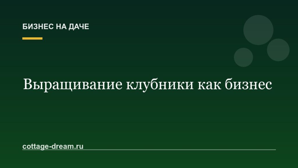 Выращивание клубники как бизнес