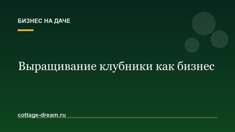 Выращивание клубники как бизнес