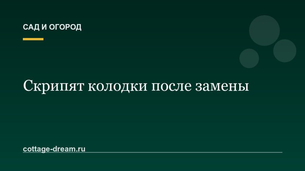 Скрипят колодки после замены