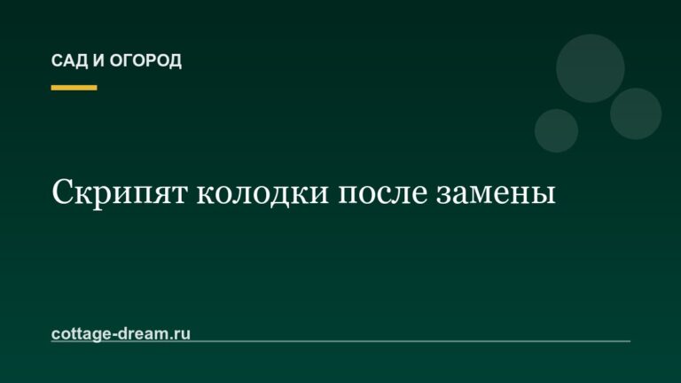 Скрипят колодки после замены