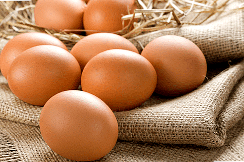 Яйцо куриное оптом цена