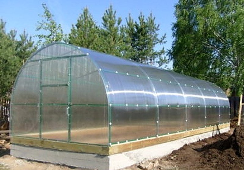 Ленточный фундамент для теплицы