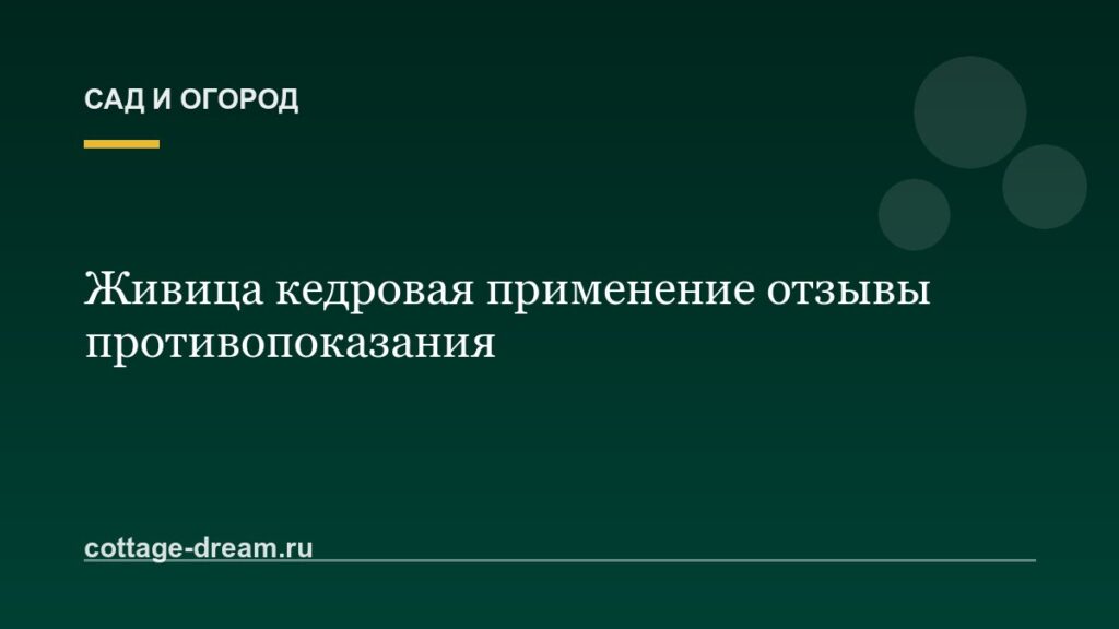 Живица кедровая применение отзывы противопоказания