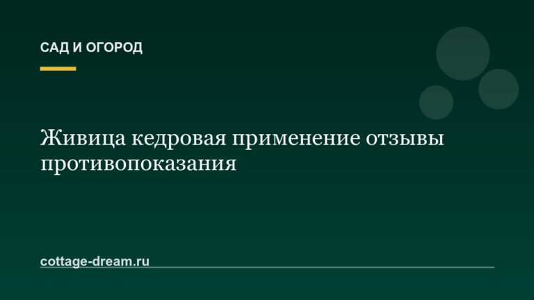 Живица кедровая применение отзывы противопоказания