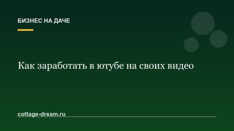 Как заработать в ютубе на своих видео