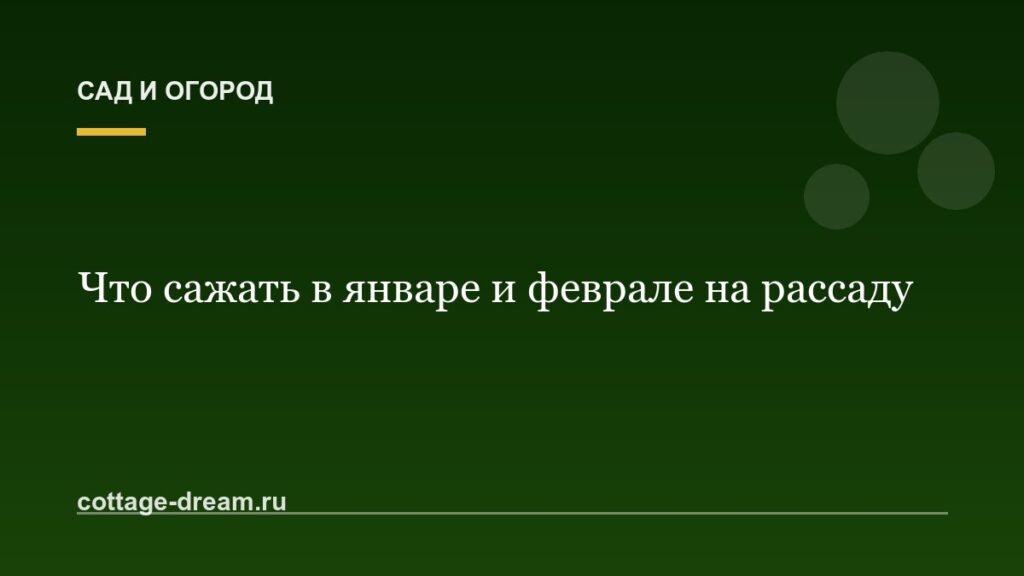 Что сажать в январе и феврале на рассаду