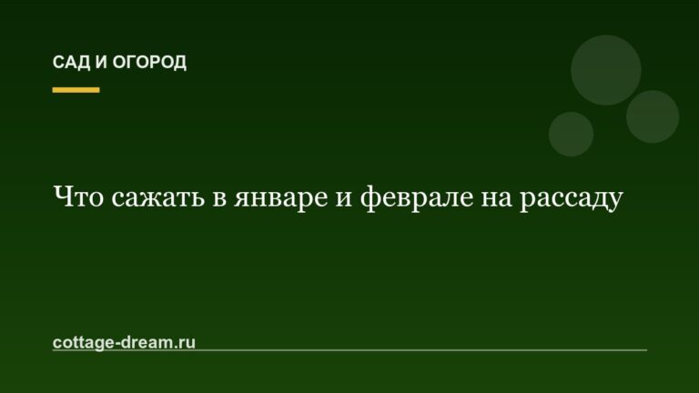 Что сажать в январе и феврале на рассаду