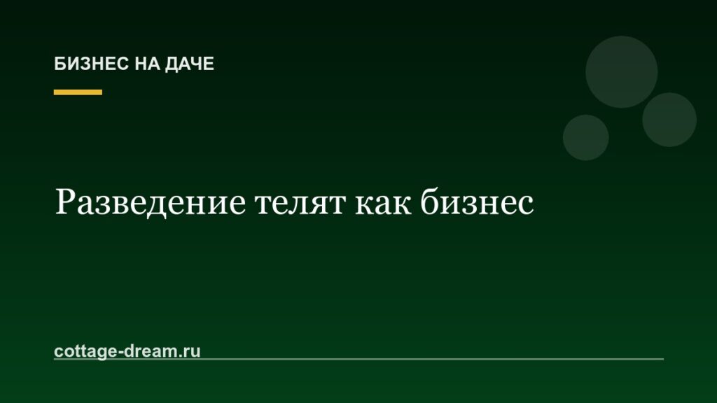 Разведение телят как бизнес