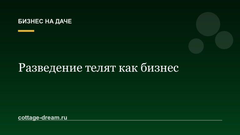 Разведение телят как бизнес