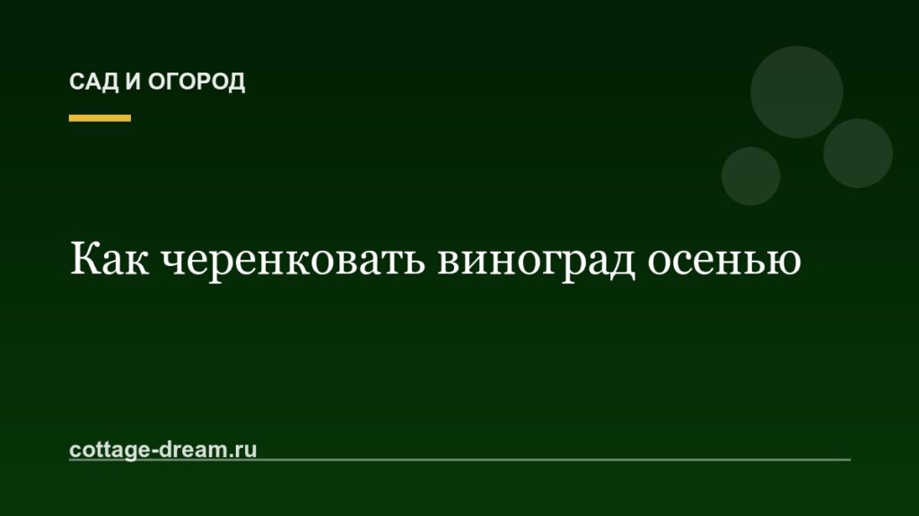 Как черенковать виноград осенью