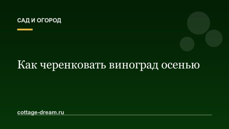 Как черенковать виноград осенью