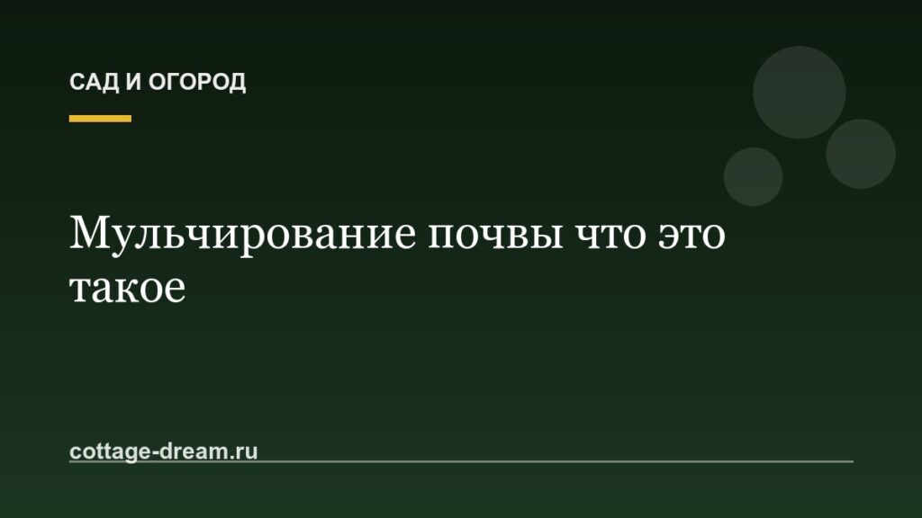 Мульчирование почвы что это такое