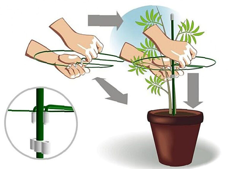 Колышки для подвязки растений купить