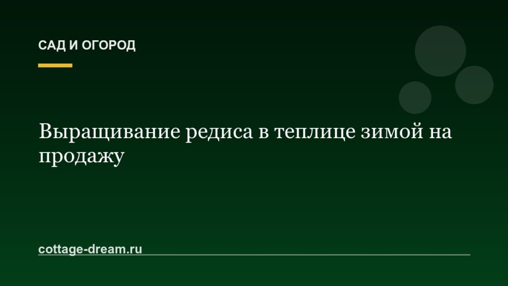 Выращивание редиса в теплице зимой на продажу