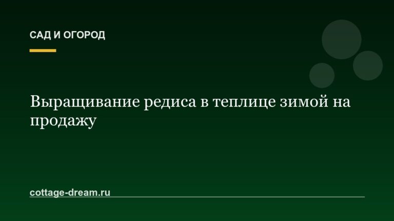 Выращивание редиса в теплице зимой на продажу