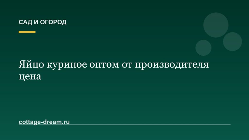Яйцо куриное оптом от производителя цена
